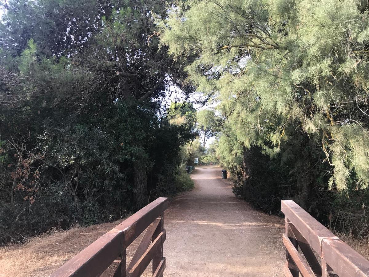 Vento Etrusco Ξενοδοχείο Riotorto Εξωτερικό φωτογραφία